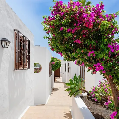 Munay 푸에르토 델 카르멘