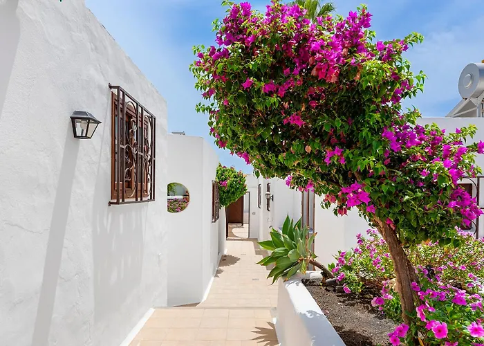 Munay 푸에르토 델 카르멘